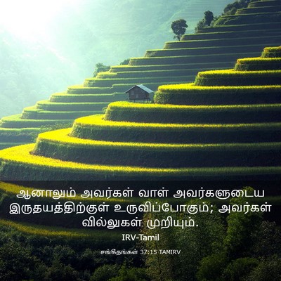 Picture 03 - சங்கீதங்கள் 37:15 TAMIRV - ஆனாலும் அவர்கள் - Bible Verse Picture