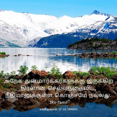 Picture 03 - சங்கீதங்கள் 37:16 TAMIRV - அநேக - Bible Verse Picture