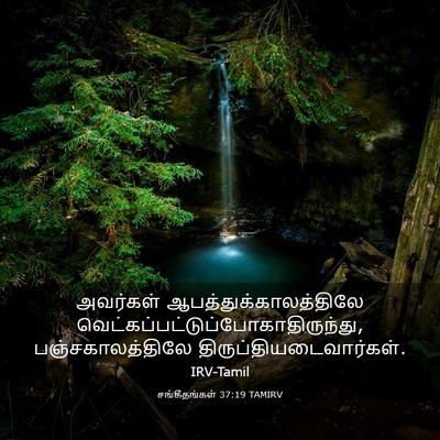 Picture 03 - சங்கீதங்கள் 37:19 TAMIRV - அவர்கள் - Bible Verse Picture
