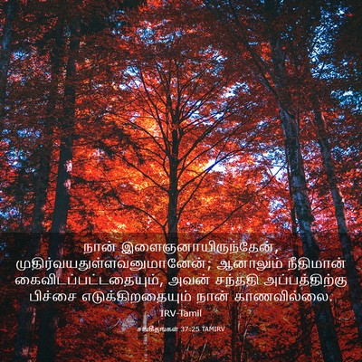 Picture 03 - சங்கீதங்கள் 37:25 TAMIRV - நான் - Bible Verse Picture
