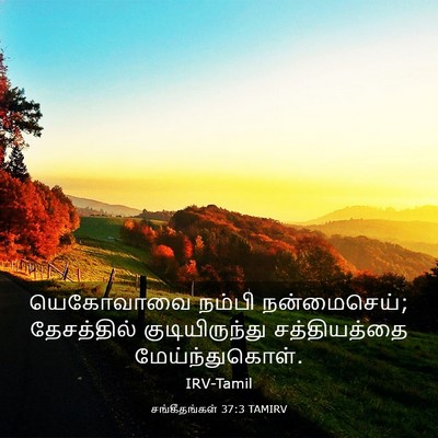 Picture 03 - சங்கீதங்கள் 37:3 TAMIRV - யெகோவாவை நம்பி - Bible Verse Picture