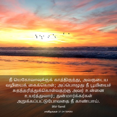 Picture 03 - சங்கீதங்கள் 37:34 TAMIRV - நீ யெகோவாவுக்குக் - Bible Verse Picture