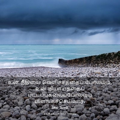 Picture 03 - சங்கீதங்கள் 37:6 TAMIRV - உன் நீதியை - Bible Verse Picture