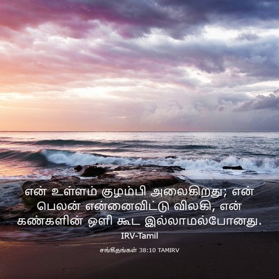 Picture 03 - சங்கீதங்கள் 38:10 TAMIRV - என் உள்ளம் - Bible Verse Picture