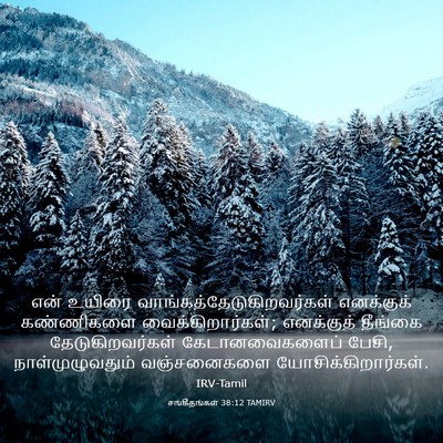 Picture 03 - சங்கீதங்கள் 38:12 TAMIRV - என் உயிரை - Bible Verse Picture