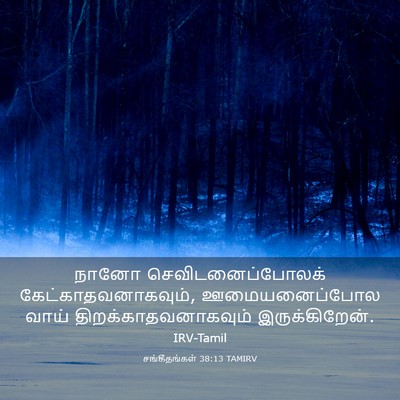 Picture 03 - சங்கீதங்கள் 38:13 TAMIRV - நானோ - Bible Verse Picture