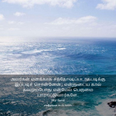 Picture 03 - சங்கீதங்கள் 38:16 TAMIRV - அவர்கள் எனக்காக - Bible Verse Picture