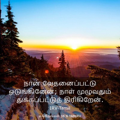 Picture 03 - சங்கீதங்கள் 38:6 TAMIRV - நான் வேதனைப்பட்டு - Bible Verse Picture