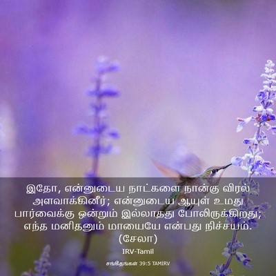 Picture 03 - சங்கீதங்கள் 39:5 TAMIRV - இதோ, என்னுடைய - Bible Verse Picture