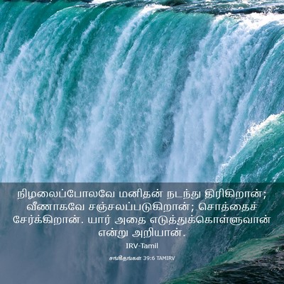 Picture 03 - சங்கீதங்கள் 39:6 TAMIRV - நிழலைப்போலவே - Bible Verse Picture