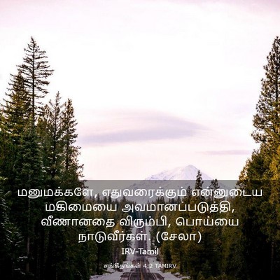 Picture 03 - சங்கீதங்கள் 4:2 TAMIRV - மனுமக்களே, - Bible Verse Picture
