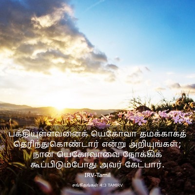 Picture 03 - சங்கீதங்கள் 4:3 TAMIRV - பக்தியுள்ளவனைக் - Bible Verse Picture