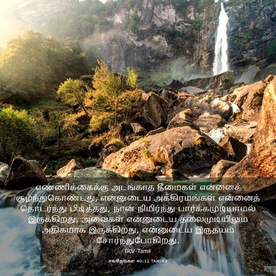Picture 03 - சங்கீதங்கள் 40:12 TAMIRV - எண்ணிக்கைக்கு - Bible Verse Picture