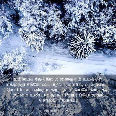 Picture 03 - சங்கீதங்கள் 40:16 TAMIRV - உம்மைத் தேடுகிற - Bible Verse Picture