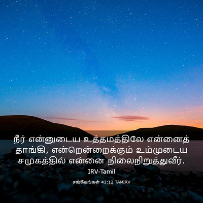 Picture 03 - சங்கீதங்கள் 41:12 TAMIRV - நீர் என்னுடைய - Bible Verse Picture