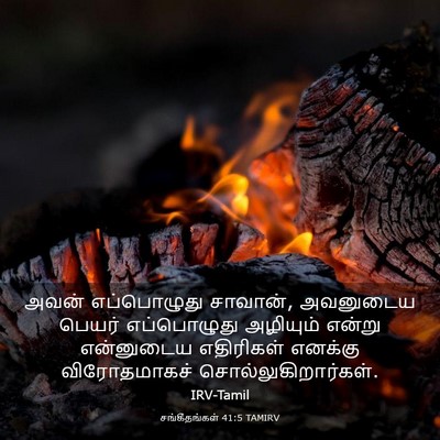 Picture 03 - சங்கீதங்கள் 41:5 TAMIRV - அவன் எப்பொழுது - Bible Verse Picture