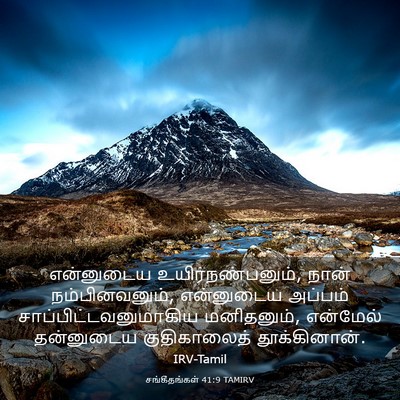 Picture 03 - சங்கீதங்கள் 41:9 TAMIRV - என்னுடைய - Bible Verse Picture