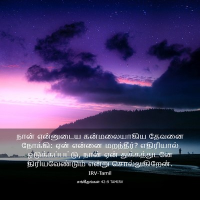Picture 03 - சங்கீதங்கள் 42:9 TAMIRV - நான் என்னுடைய - Bible Verse Picture