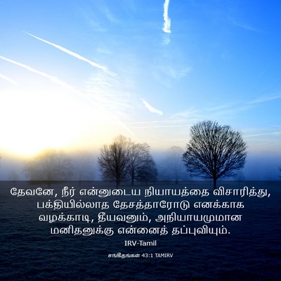 Picture 03 - சங்கீதங்கள் 43:1 TAMIRV - தேவனே, நீர் - Bible Verse Picture