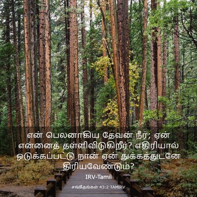 Picture 03 - சங்கீதங்கள் 43:2 TAMIRV - என் பெலனாகிய - Bible Verse Picture
