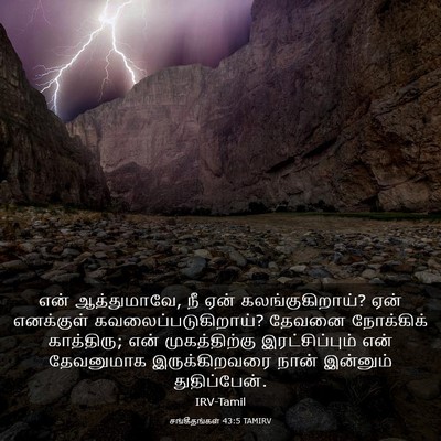 Picture 03 - சங்கீதங்கள் 43:5 TAMIRV - என் ஆத்துமாவே, நீ - Bible Verse Picture
