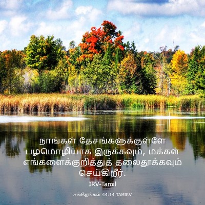 Picture 03 - சங்கீதங்கள் 44:14 TAMIRV - நாங்கள் - Bible Verse Picture