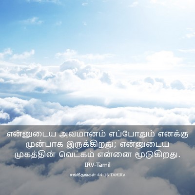 Picture 03 - சங்கீதங்கள் 44:16 TAMIRV - என்னுடைய அவமானம் - Bible Verse Picture