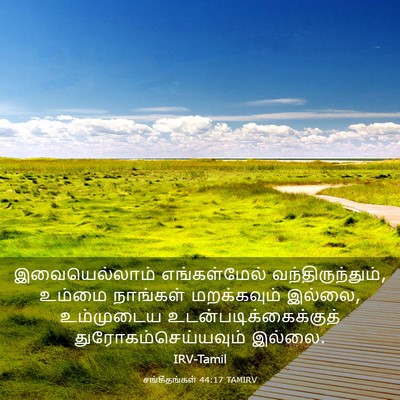 Picture 03 - சங்கீதங்கள் 44:17 TAMIRV - இவையெல்லாம் - Bible Verse Picture