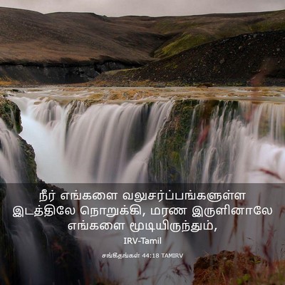 Picture 03 - சங்கீதங்கள் 44:18 TAMIRV - நீர் எங்களை - Bible Verse Picture