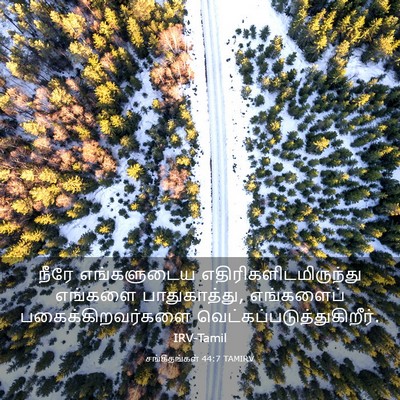 Picture 03 - சங்கீதங்கள் 44:7 TAMIRV - நீரே எங்களுடைய - Bible Verse Picture