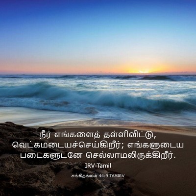 Picture 03 - சங்கீதங்கள் 44:9 TAMIRV - நீர் எங்களைத் - Bible Verse Picture