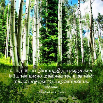 Picture 03 - சங்கீதங்கள் 48:11 TAMIRV - உம்முடைய - Bible Verse Picture