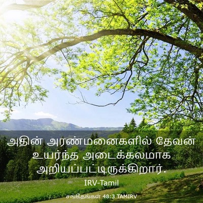 Picture 03 - சங்கீதங்கள் 48:3 TAMIRV - அதின் - Bible Verse Picture