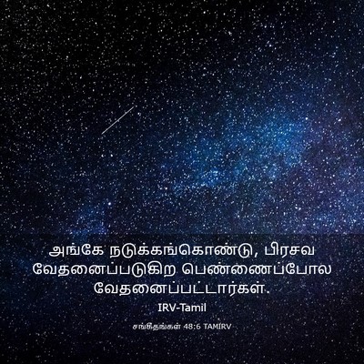 Picture 03 - சங்கீதங்கள் 48:6 TAMIRV - அங்கே - Bible Verse Picture