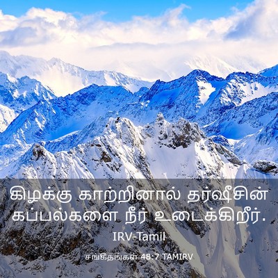 Picture 03 - சங்கீதங்கள் 48:7 TAMIRV - கிழக்கு - Bible Verse Picture