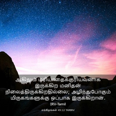 Picture 03 - சங்கீதங்கள் 49:12 TAMIRV - ஆகிலும் - Bible Verse Picture
