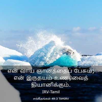 Picture 03 - சங்கீதங்கள் 49:3 TAMIRV - என் வாய் - Bible Verse Picture
