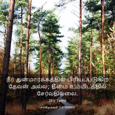 Picture 03 - சங்கீதங்கள் 5:4 TAMIRV - நீர் - Bible Verse Picture