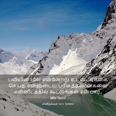 Picture 03 - சங்கீதங்கள் 50:5 TAMIRV - பலியினாலே என்னோடு - Bible Verse Picture