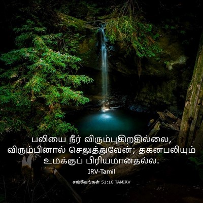 Picture 03 - சங்கீதங்கள் 51:16 TAMIRV - பலியை நீர் - Bible Verse Picture