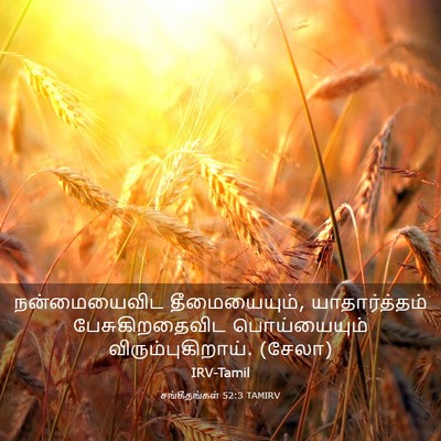 Picture 03 - சங்கீதங்கள் 52:3 TAMIRV - நன்மையைவிட - Bible Verse Picture