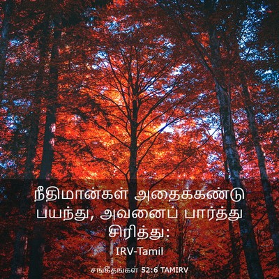 Picture 03 - சங்கீதங்கள் 52:6 TAMIRV - நீதிமான்கள் - Bible Verse Picture