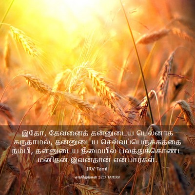 Picture 03 - சங்கீதங்கள் 52:7 TAMIRV - இதோ, தேவனைத் - Bible Verse Picture
