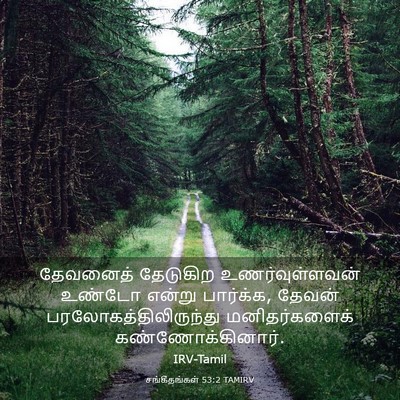 Picture 03 - சங்கீதங்கள் 53:2 TAMIRV - தேவனைத் தேடுகிற - Bible Verse Picture