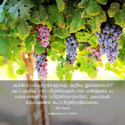 Picture 03 - சங்கீதங்கள் 53:4 TAMIRV -  - Bible Verse Picture