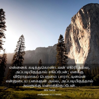 Picture 03 - சங்கீதங்கள் 55:12 TAMIRV - என்னைக் - Bible Verse Picture
