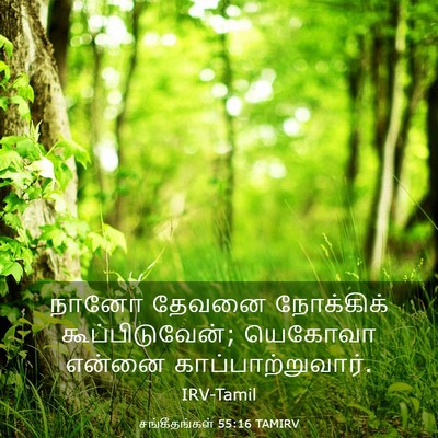 Picture 03 - சங்கீதங்கள் 55:16 TAMIRV - நானோ தேவனை - Bible Verse Picture