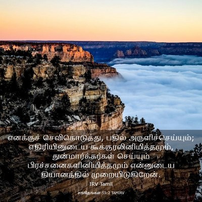 Picture 03 - சங்கீதங்கள் 55:2 TAMIRV - எனக்குச் - Bible Verse Picture