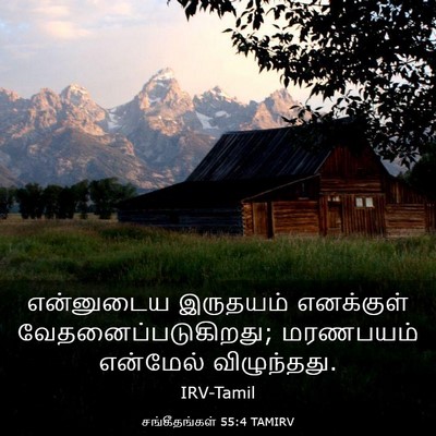 Picture 03 - சங்கீதங்கள் 55:4 TAMIRV - என்னுடைய இருதயம் - Bible Verse Picture