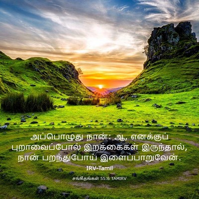 Picture 03 - சங்கீதங்கள் 55:6 TAMIRV - அப்பொழுது நான்: ஆ, - Bible Verse Picture